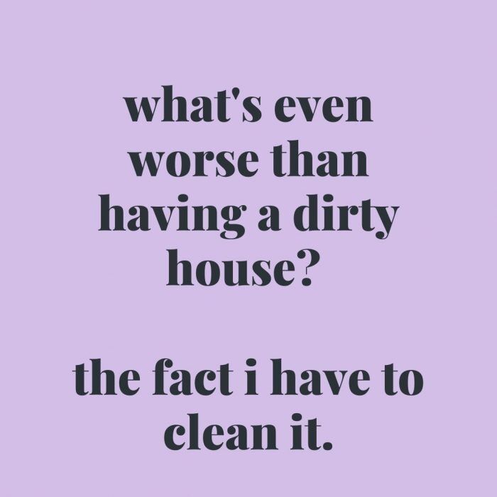 13 Funny Quotes For Spring Cleaning