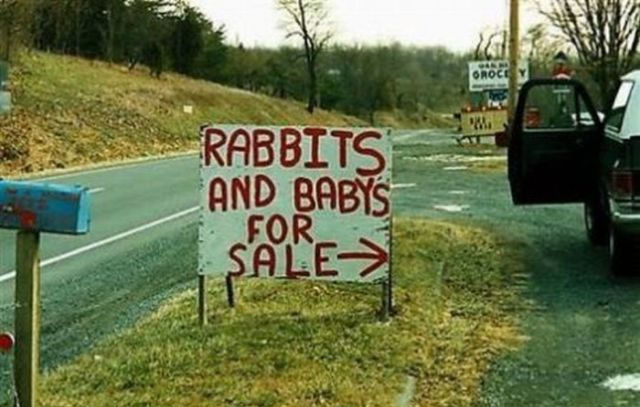 Funny Signs (22 Pics)- 22 images