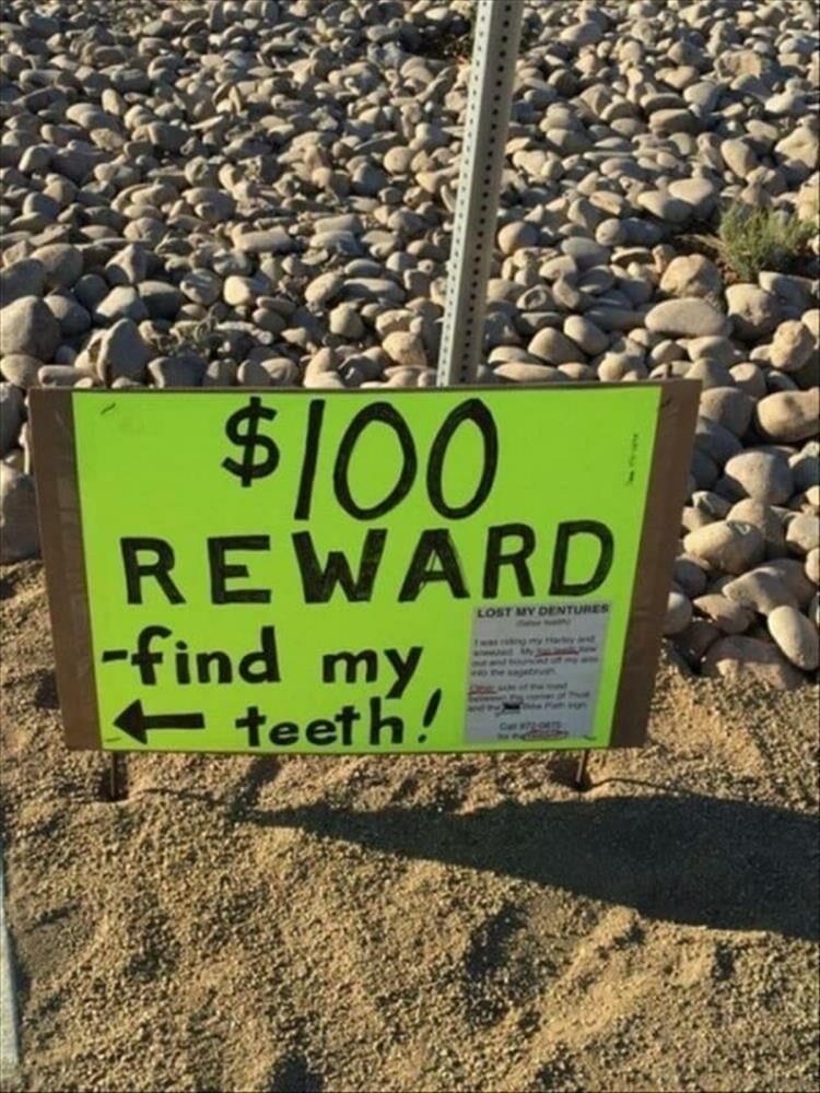 I Want To Know The Story Behind These Funny Signs