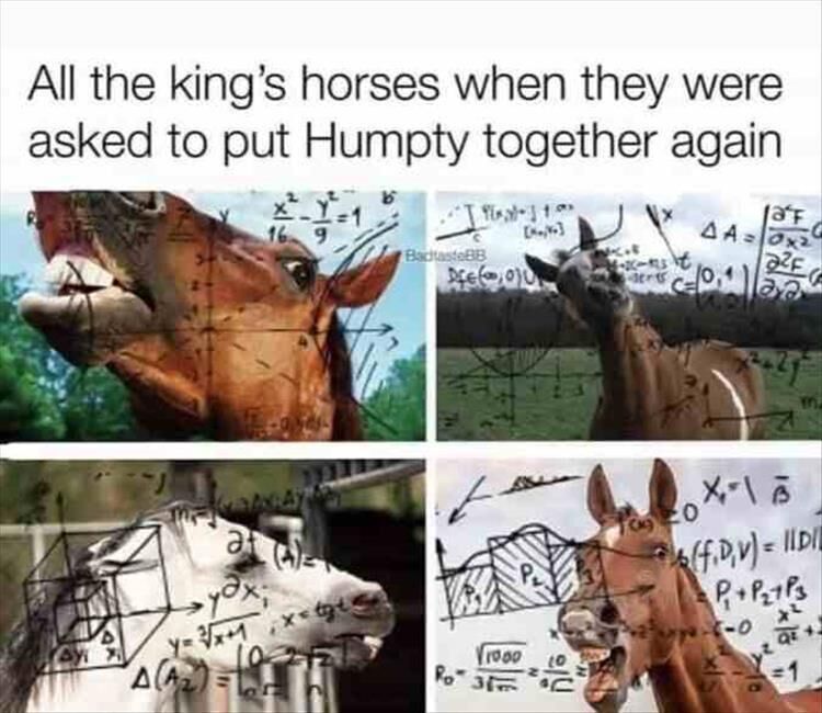 Funny Animal Meme Dump 21 Pics