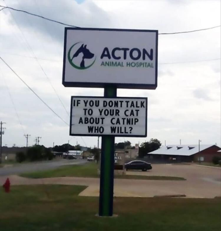 Funny Veterinarian Signs Are What We Need More Of 28 Pics