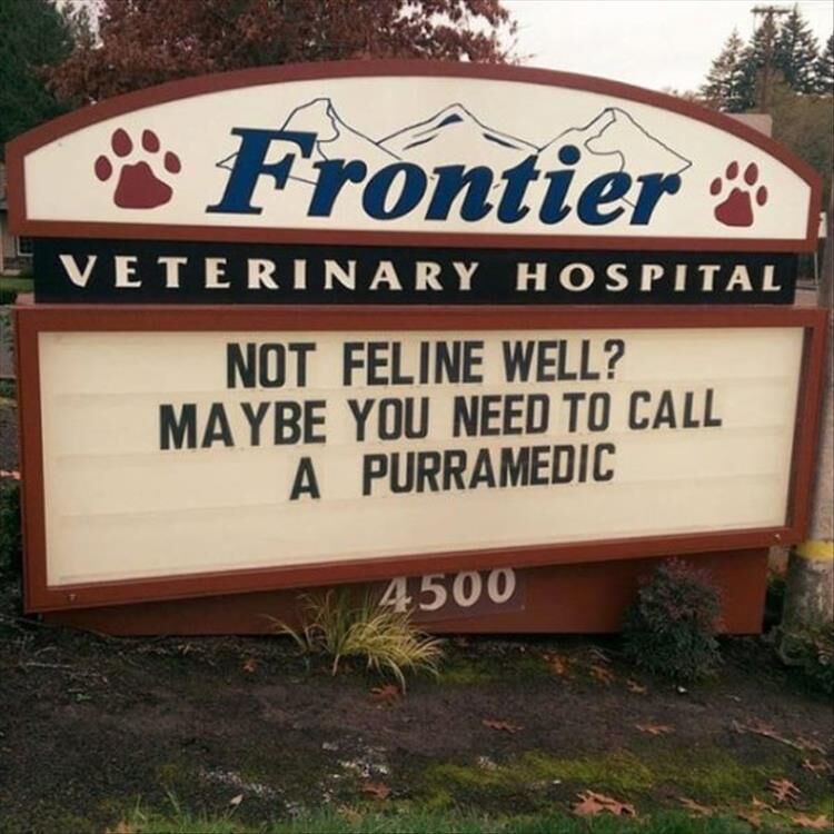 30 Funny Veterinarian Signs