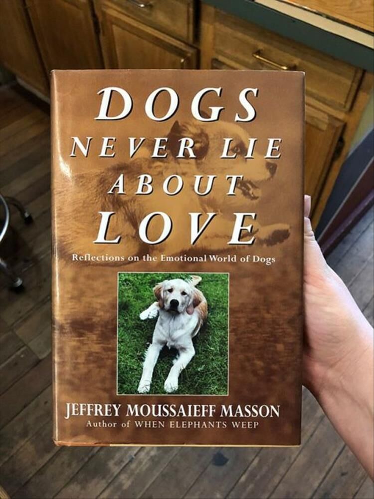 20 Books You Can Find In The Worst Book Store Ever