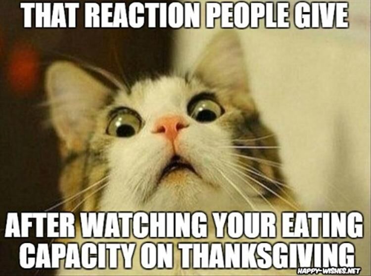 Funny Thanksgiving Meme Dump 35 Pics