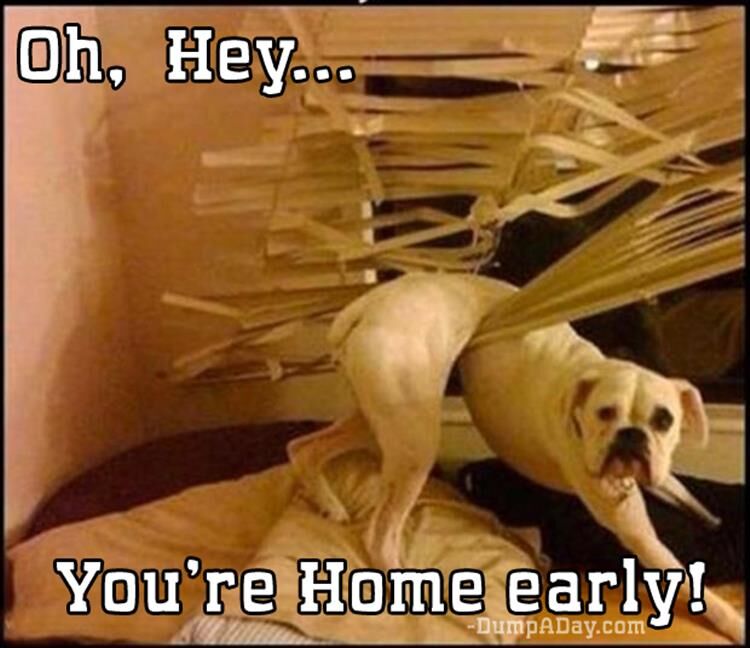 20 Reasons You Should Never Go Home Early