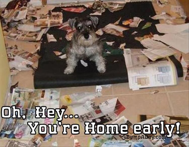 20 Reasons You Should Never Go Home Early