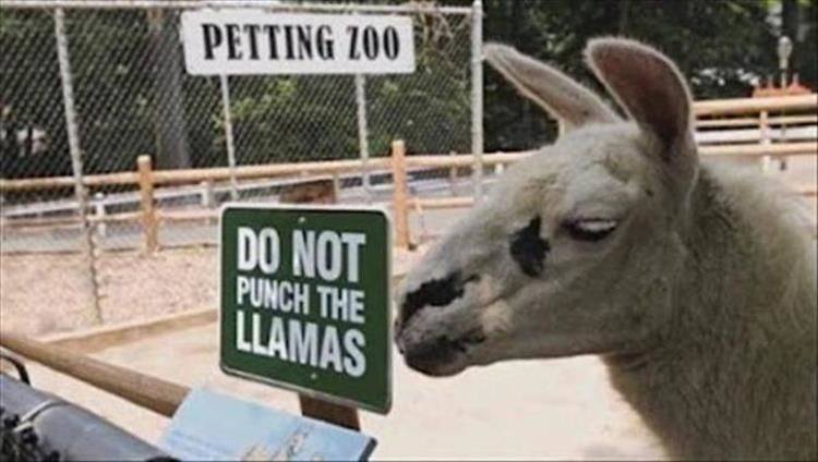 Some Zoo Signs Are Funnier Than Others