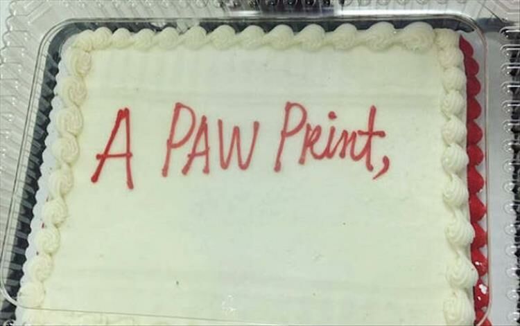 When The Cake Decorator Takes You Seriously