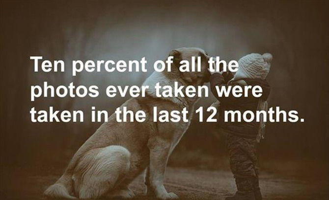 Fun Facts To Feed Your Brain - 18 images