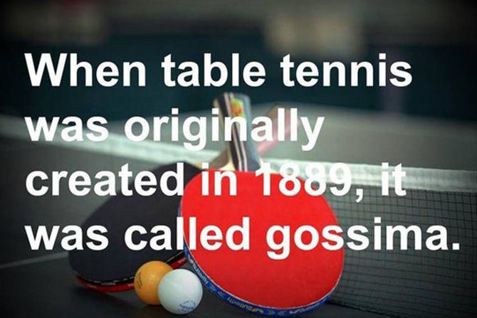 Fun Facts To Feed Your Brain - 18 images
