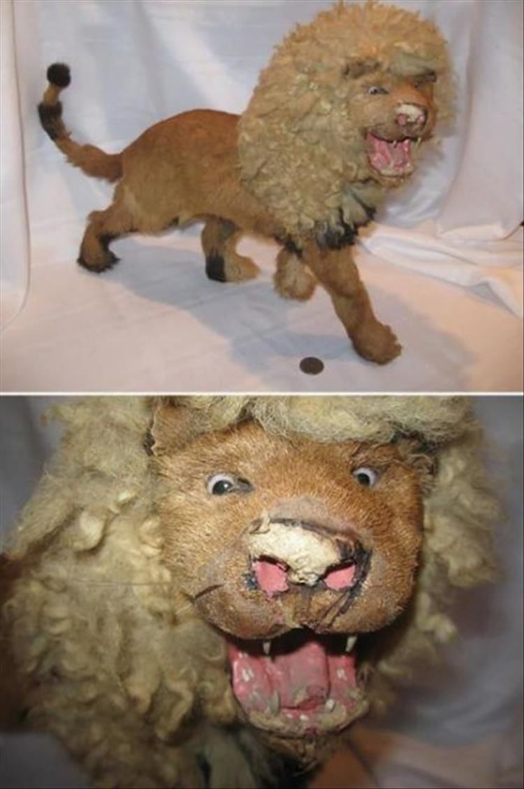 Taxidermy Fails Are What Nightmares Are Made Of