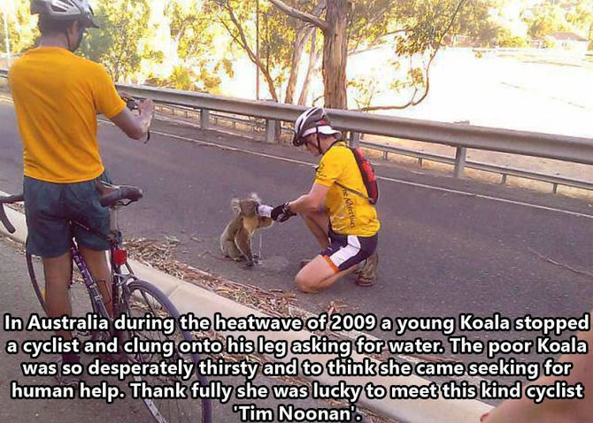 Faith In Humanity Restored - 16 images