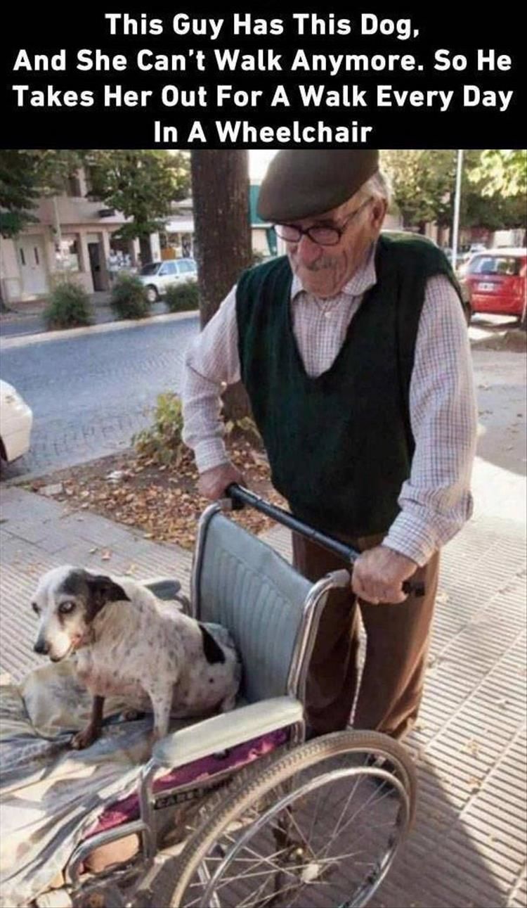 Faith In Humanity Restored - 24 Images