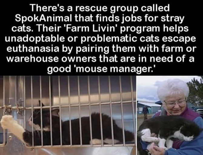 Faith In Humanity Restored - 16 Images