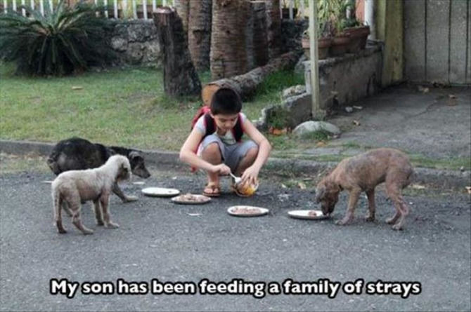 Faith In Humanity Restored - 10 images