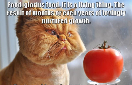 Funny Images of The Day - 60 Images