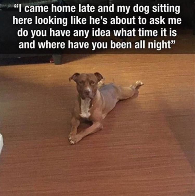 Funny Animal Pictures Of The Day - 30 Images