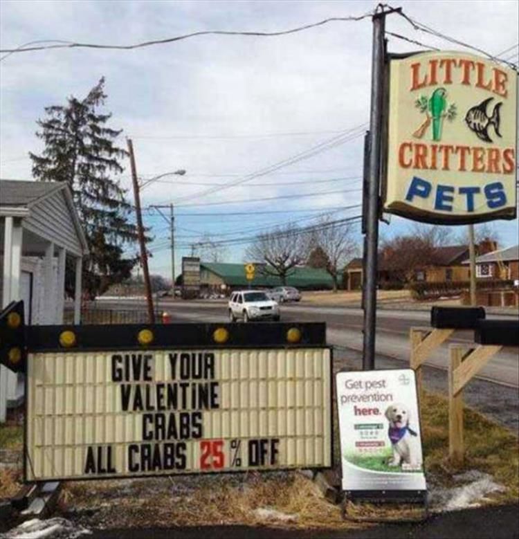 The Good The Bad And The Hilarious Of Local Advertising 24 Pics