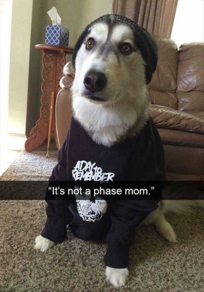 Funny Animal Pictures Of The Day  - 19 images