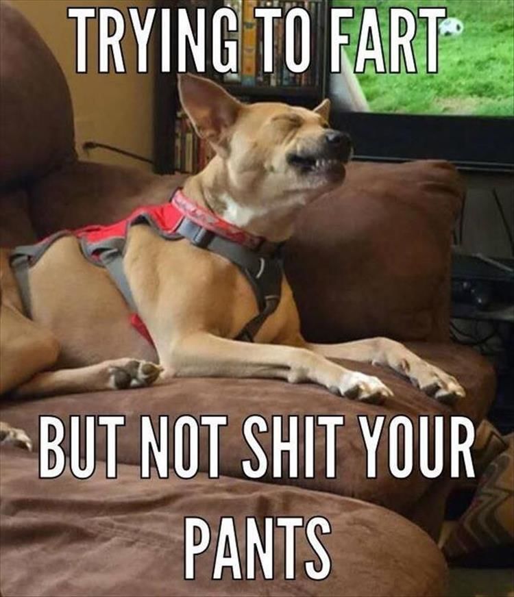 Funny Animal Pictures Of The Day - 32 Images