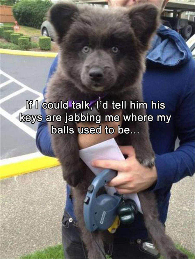 Funny Animal Pictures Of The Day - 20 images