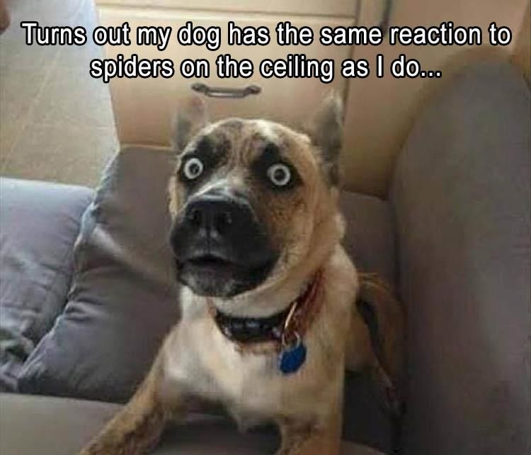 Funny Animal Pictures Of The Day - 23 Images