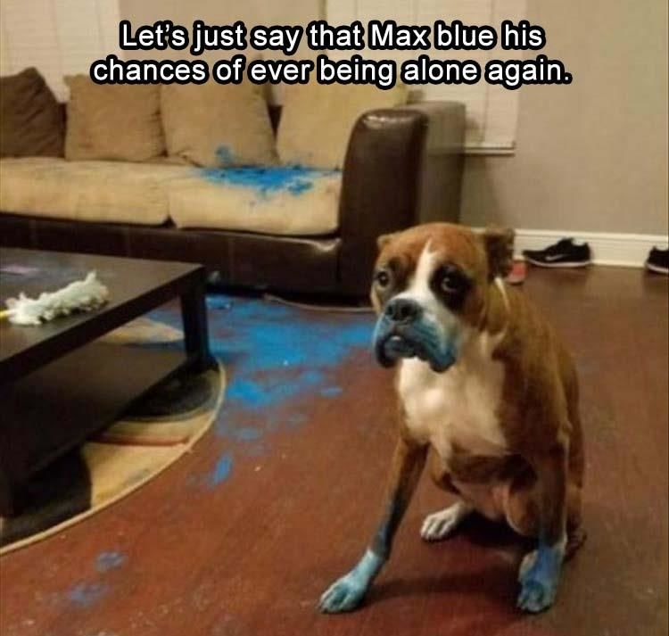 Funny Animal Pictures Of The Day - 32 Images