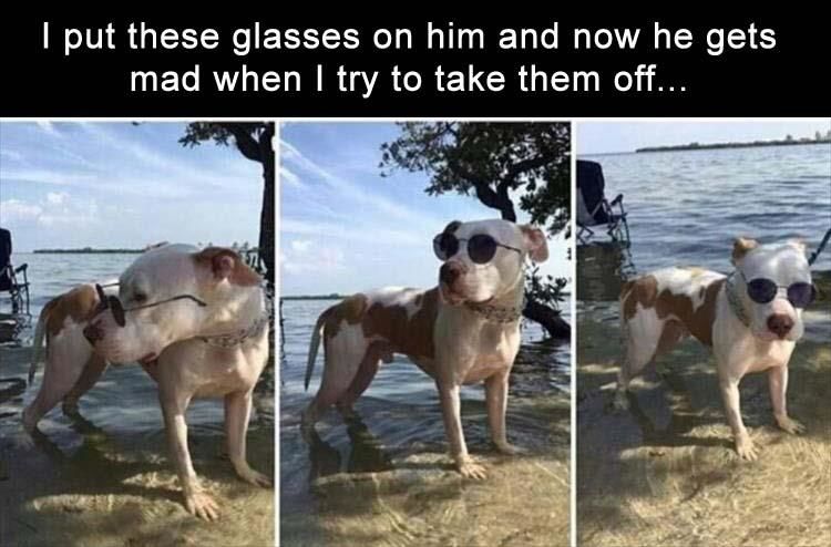 Funny Animal Pictures Of The Day - 14 Images