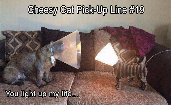 Funny Animal Pictures Of The Day – 23 Pics