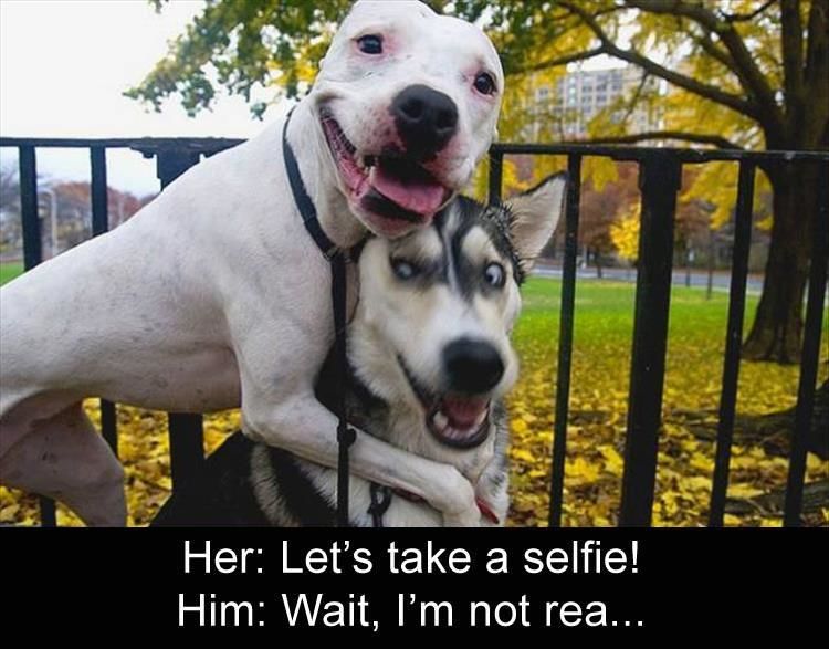 Funny Animal Pictures Of The Day - 15 Images