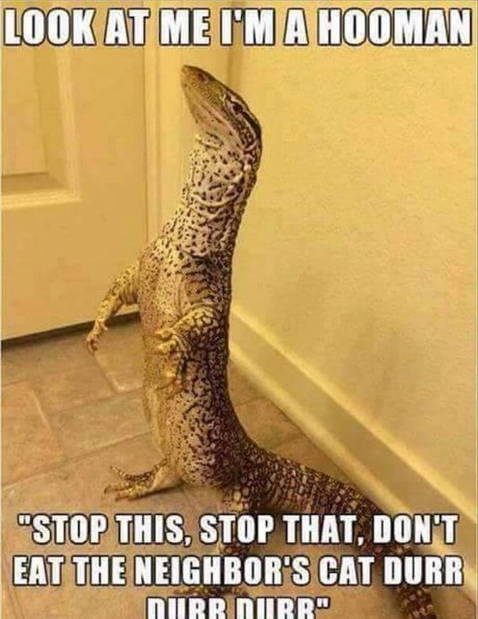 Funny Animal Pictures Of The Day - 21 Images