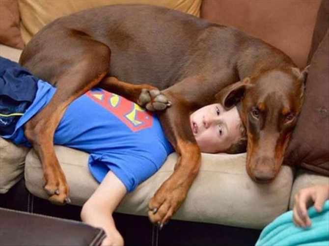 Dogs That Have Zero Concept Of What Personal Space Is