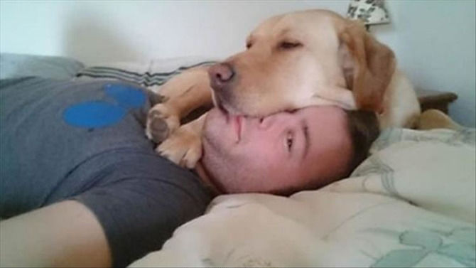 Dogs That Have Zero Concept Of What Personal Space Is