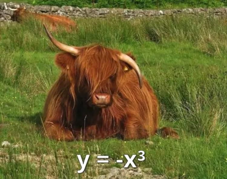 Turns Out Math Is Hard Even When It’s Funny 21 Pics