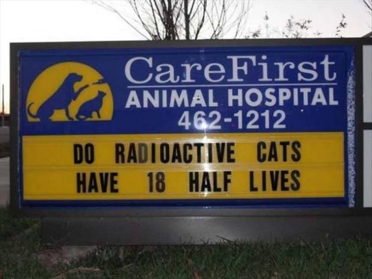 23 Of The Weirdest Signs You’ll See All Week