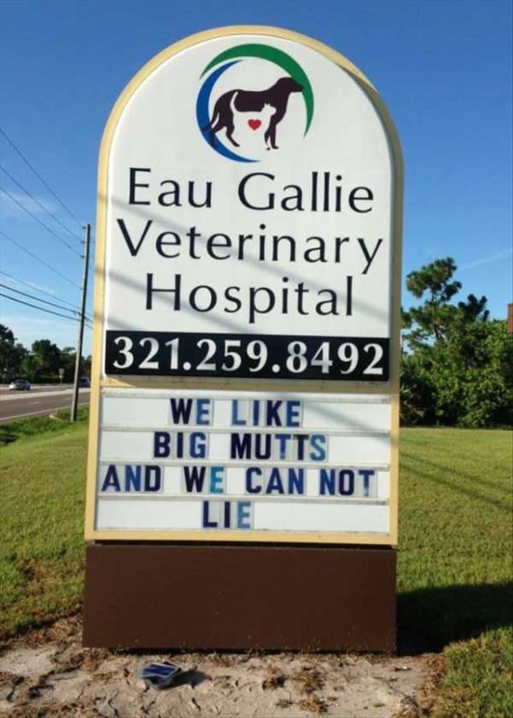 The Best Of Funny Vet Signs 18 Pics