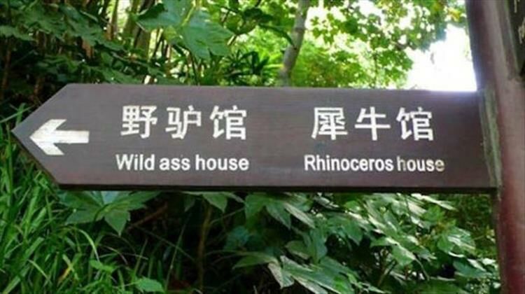 25 Hilarious Zoo Signs