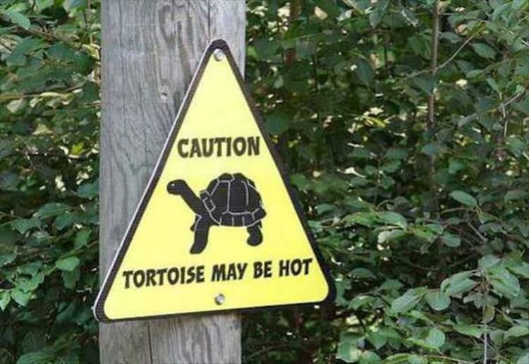 25 Hilarious Zoo Signs