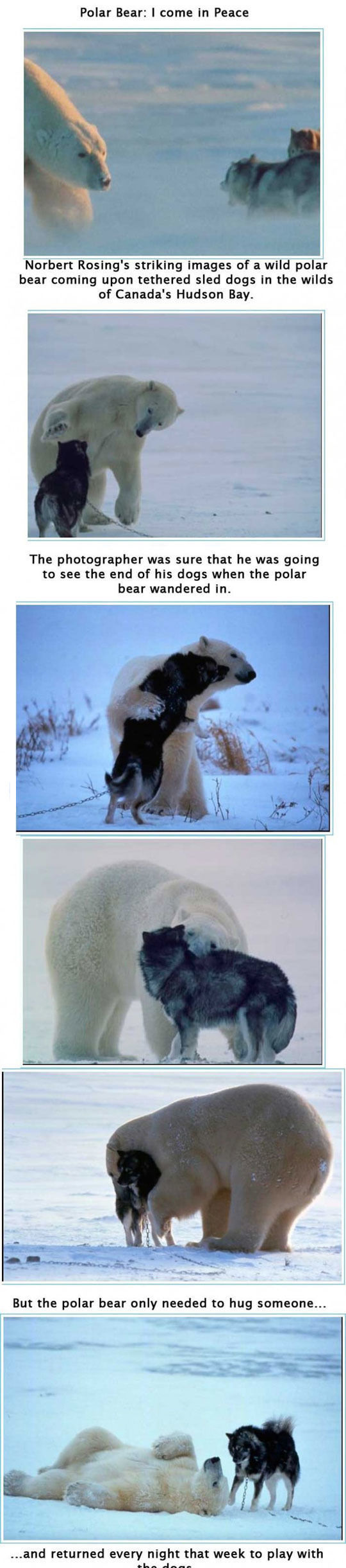 Funny Images of The Day - 60 Images