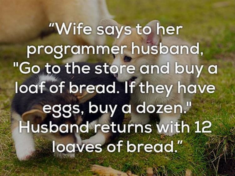 One Liner Jokes Are Even Funnier When Told By Dogs 24 Pics