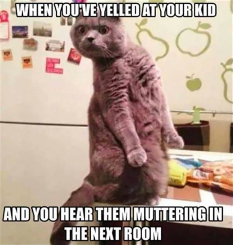 36 Funny Pictures Every Parent Can Relate To