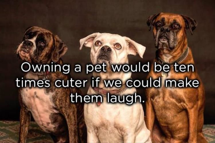 The Best Of Really Deep Shower Thoughts 28 Pics
