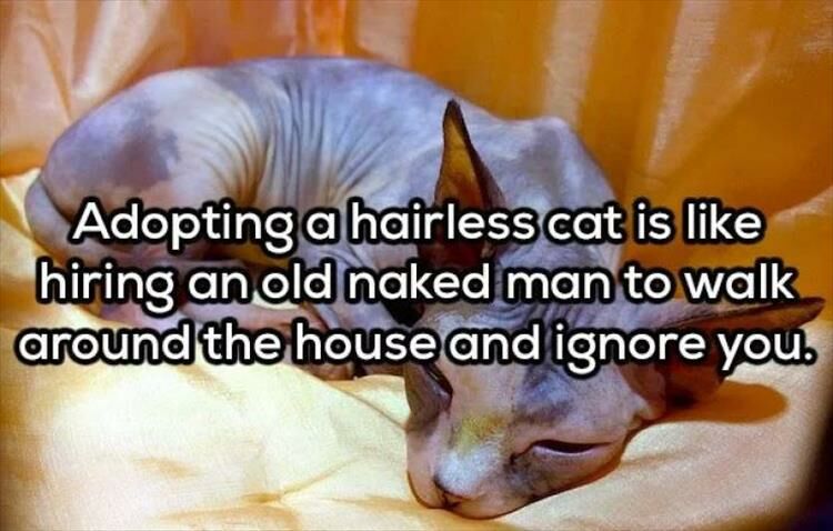 23 Funny Shower Thoughts