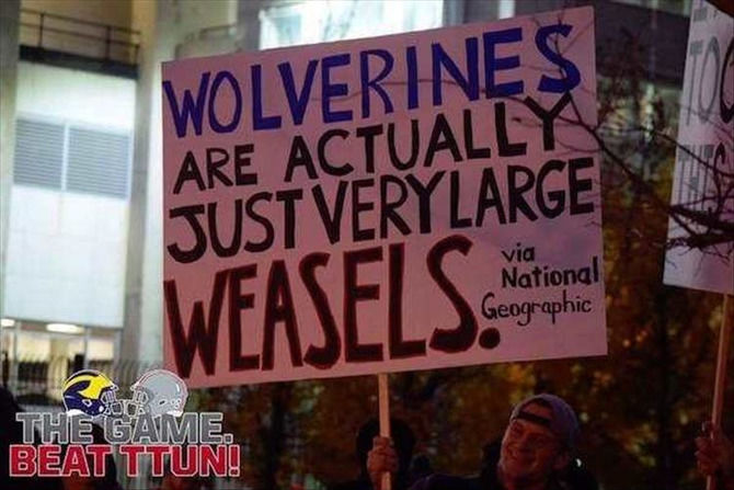 20 Of The Funniest Sports Signs You’ll See All Day - 19 images