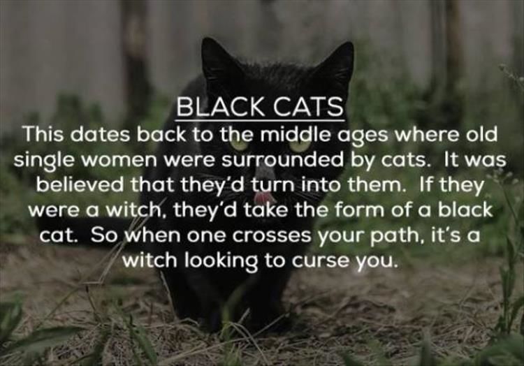 Some People Have Really Bizarre Superstitions 22 Pics