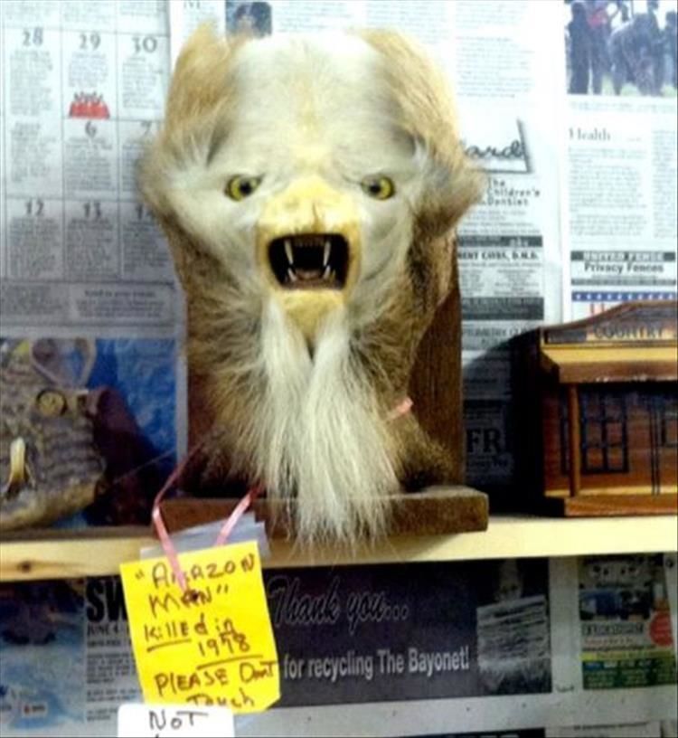 20 Funny Products You Should Never Buy From A Thrift Store