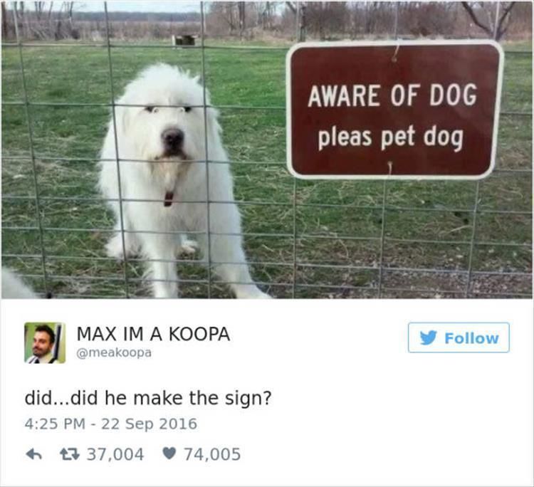 Hilarious Twitter Quotes About Dogs 24 Pics