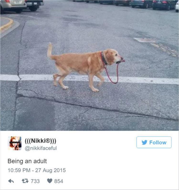 Twitter Explains What It’s Like To Be An Adult 25 Pics