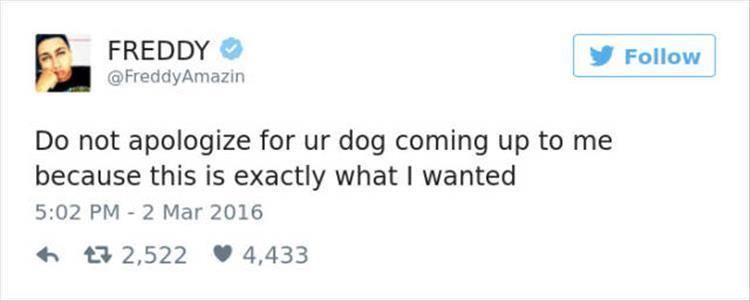 Hilarious Twitter Quotes About Dogs 24 Pics