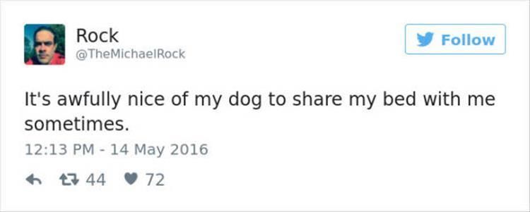 Funny Twitter Quotes About Dogs 25 Pics